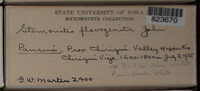 Image Associated With the Occurence